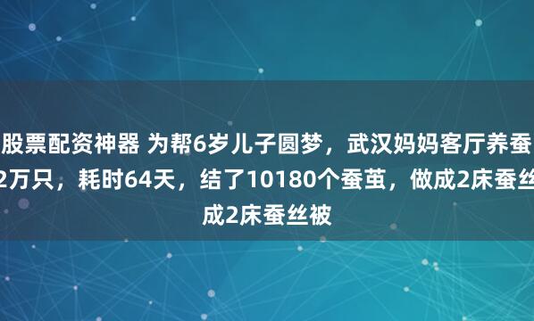 股票配资神器 为帮6岁儿子圆梦，武汉妈妈客厅养蚕1.2万只，耗时64天，结了10180个蚕茧，做成2床蚕丝被